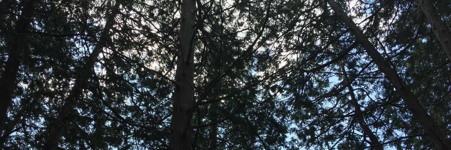 SterlingStutz's profile banner image