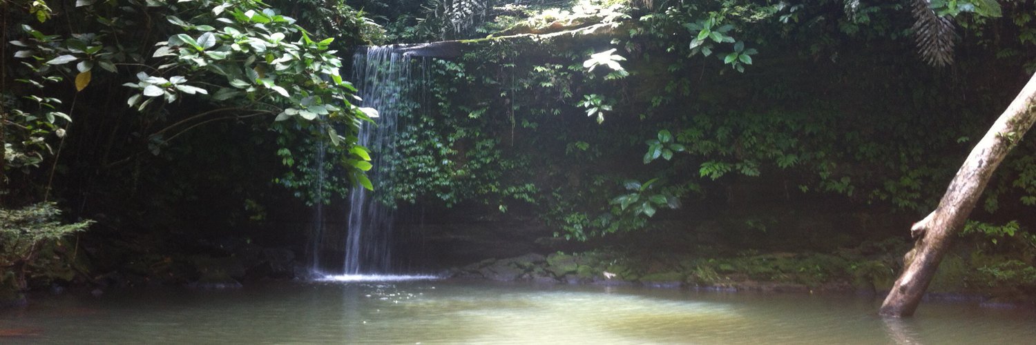 John-Paul van Heel banner