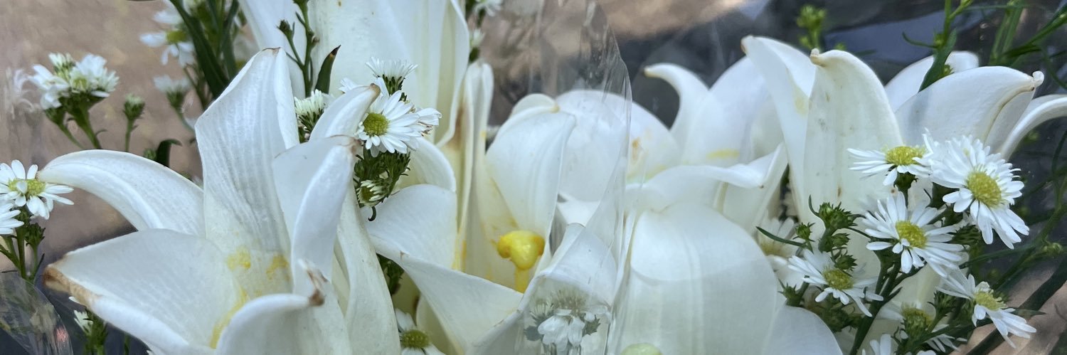 thepinpin's profile banner image