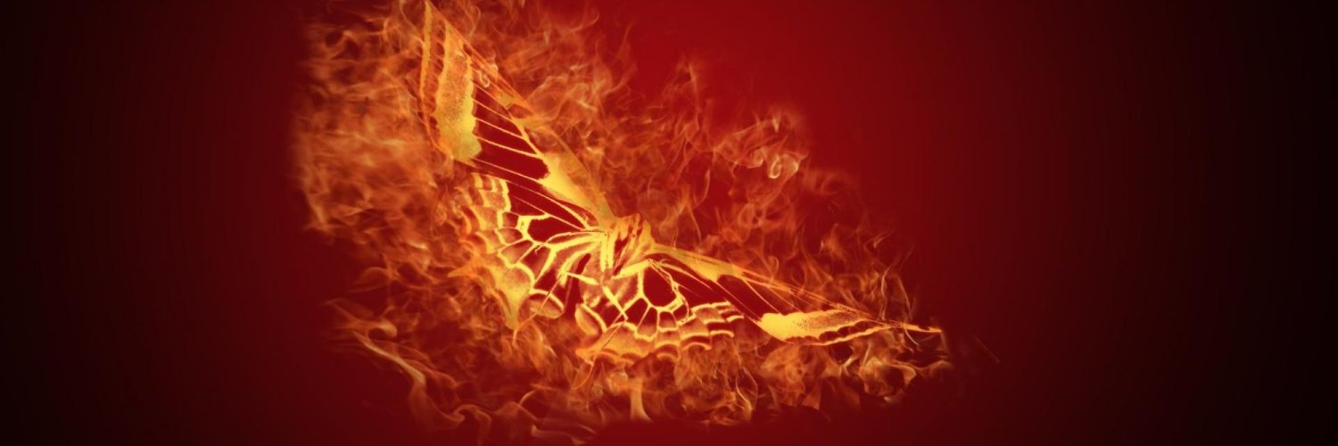 kkarqlo's profile banner image