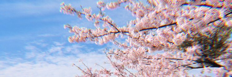 pimploy ft. ไม่ตอบนะ banner