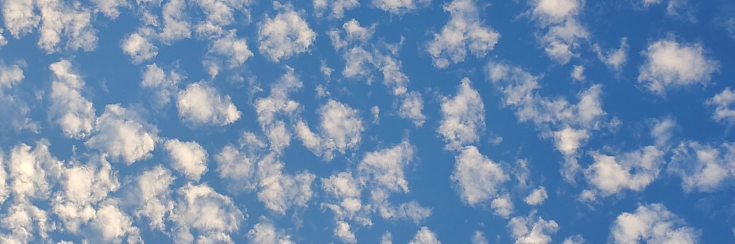 nouscookie's profile banner image