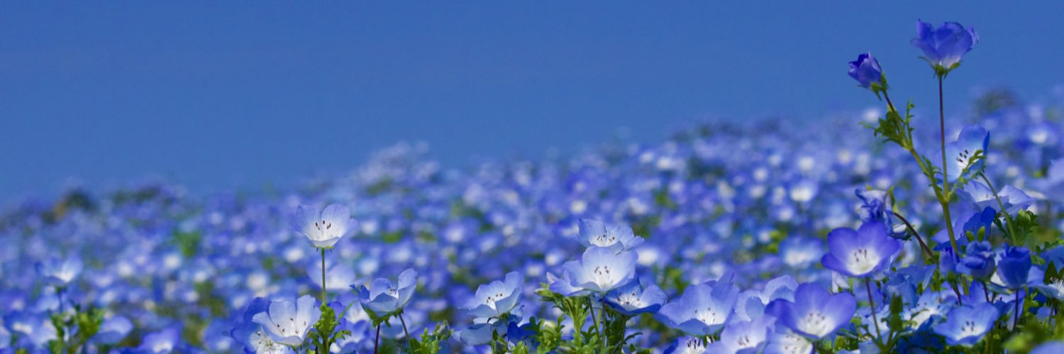 Pure_753's profile banner image