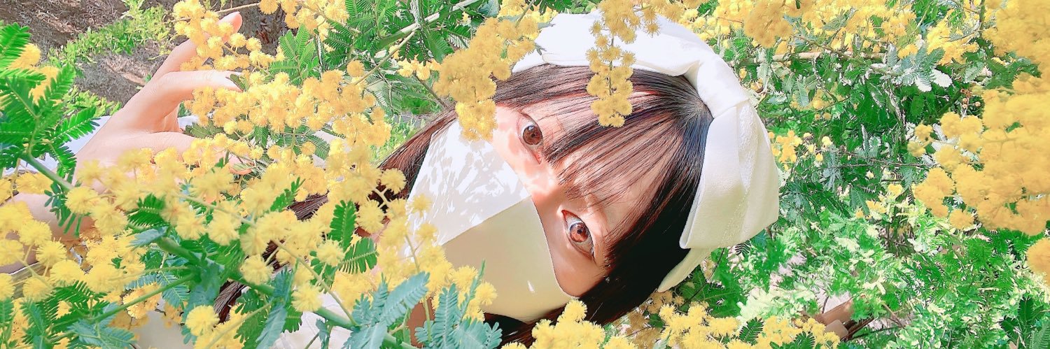 たいちゃんଳ banner