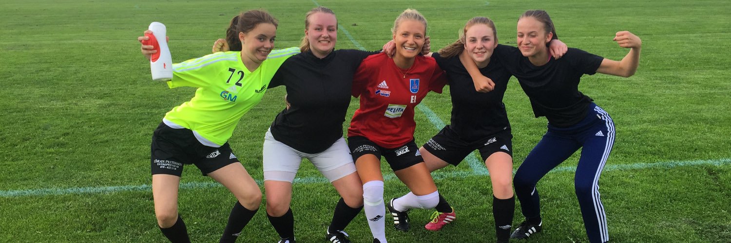 emmalaarsson's profile banner image