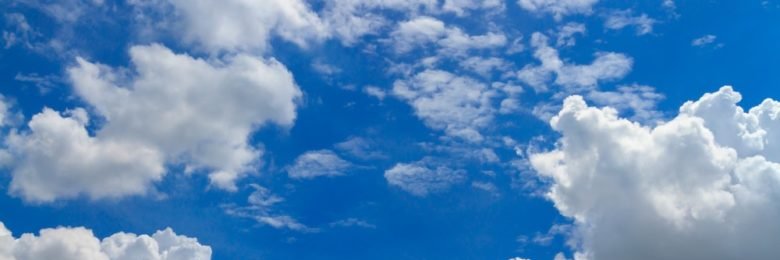 Karol Halicki banner