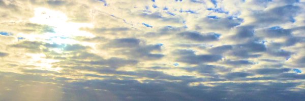 SallyGoldspink Profile Banner