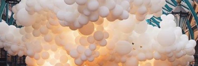 Willccia's profile banner image