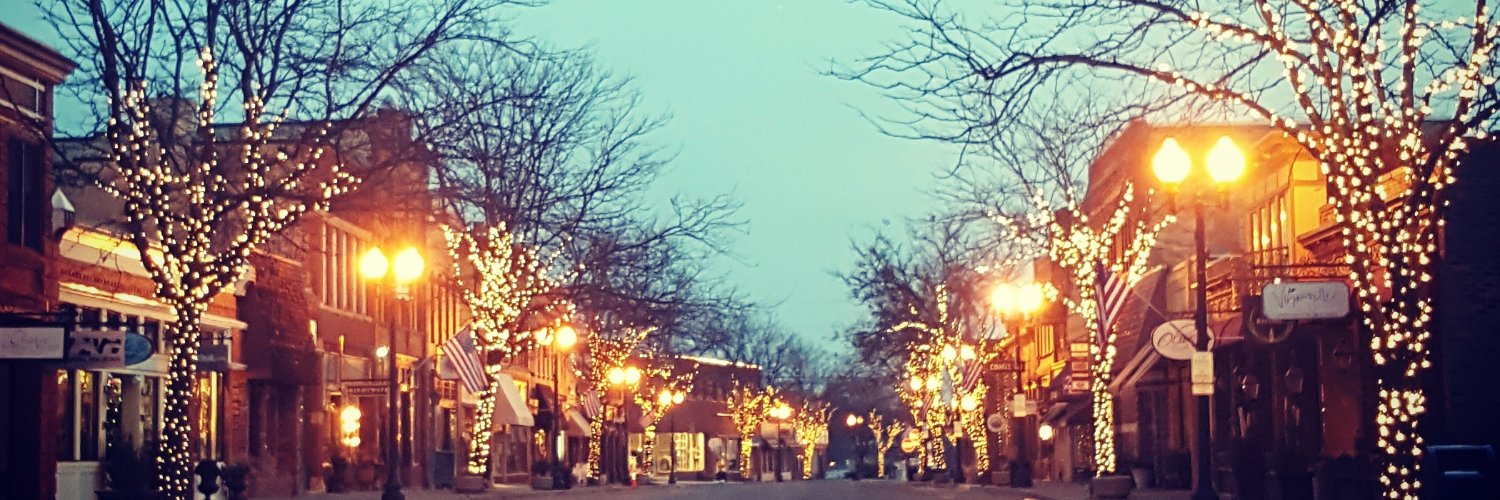 Excelsior-Lake Mtka banner