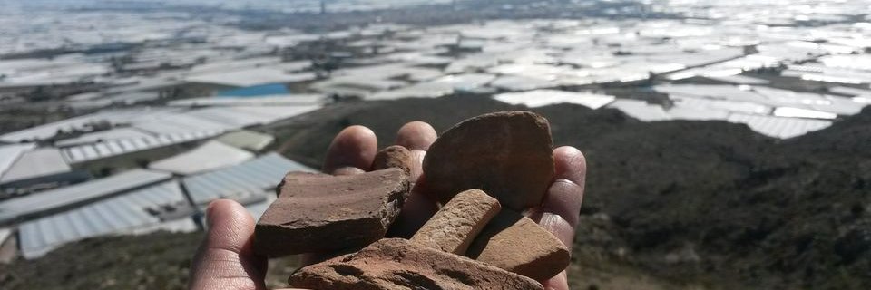 AthenaaEjido's profile banner image