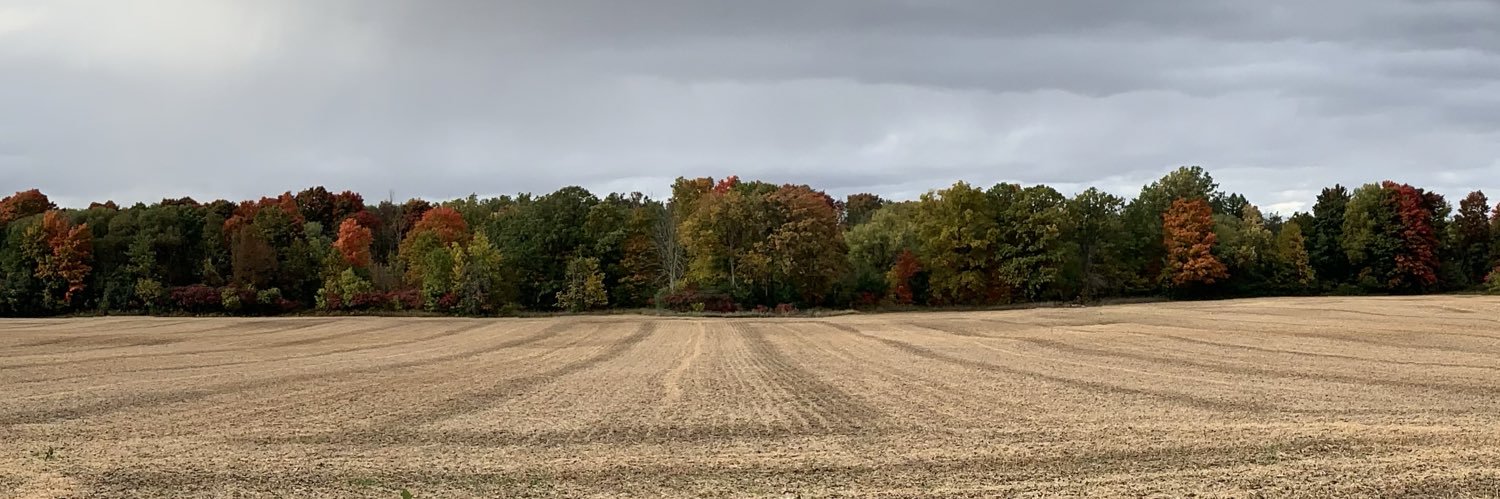 Jocelyn Hutton banner