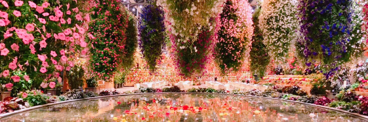 たなかあさみ banner