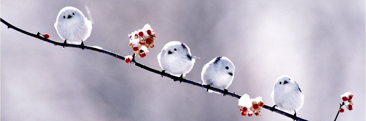 fal_p's profile banner image