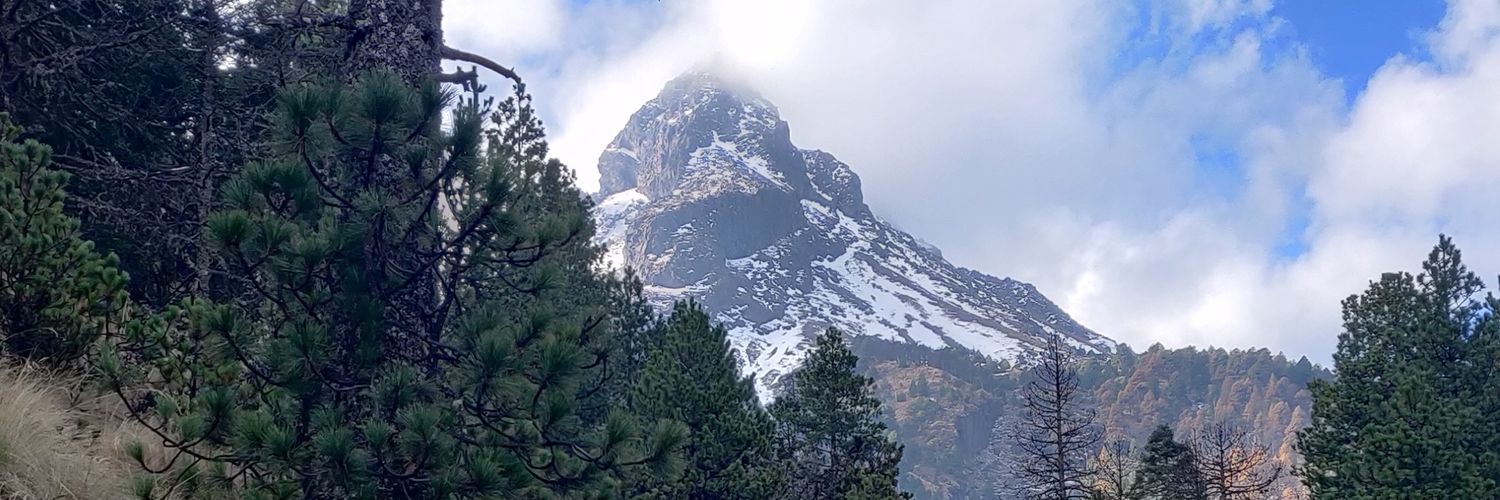gansoaceves's profile banner image
