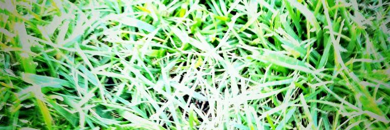celia_cda's profile banner image