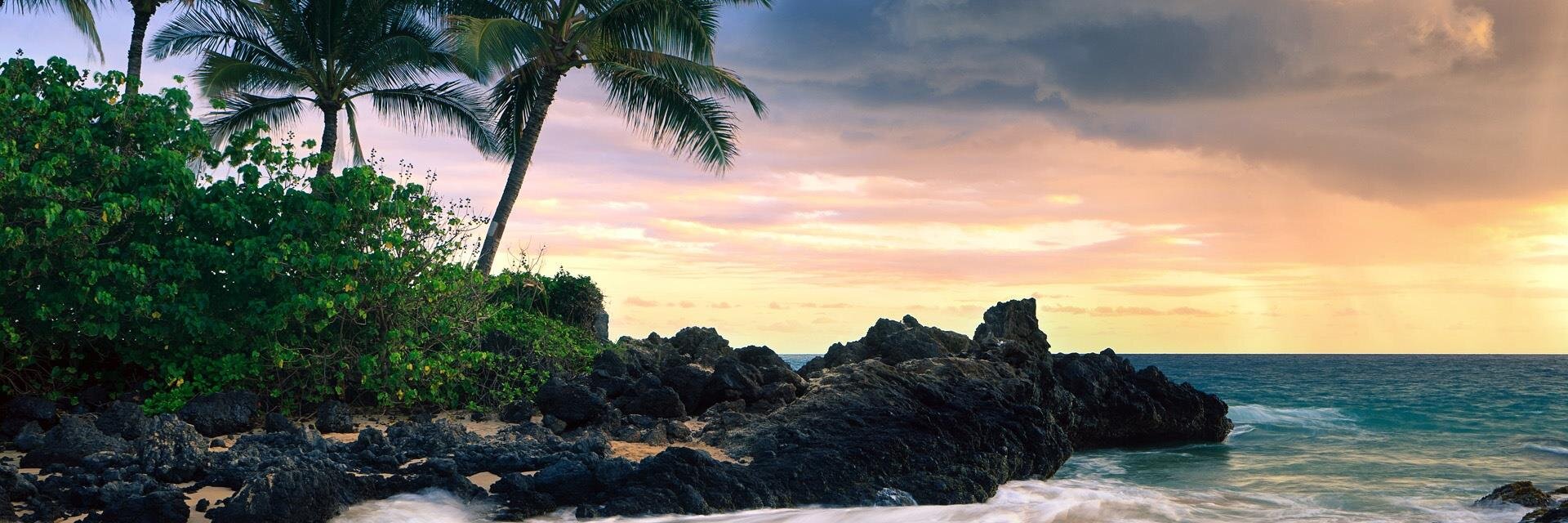 Nikkco's profile banner image