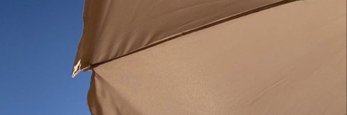Viviana A banner