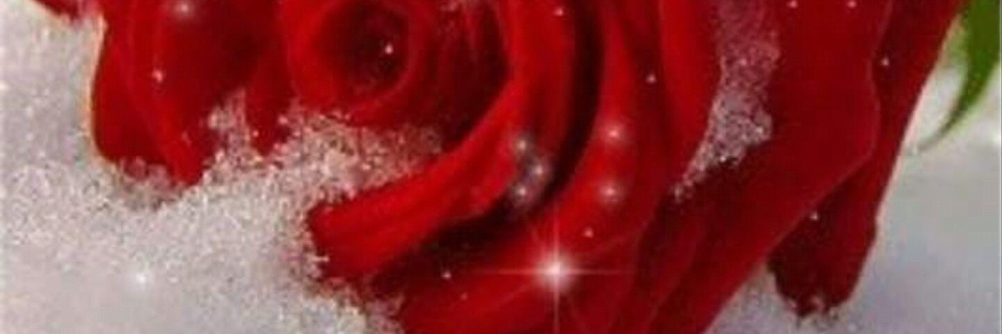 msabz78's profile banner image