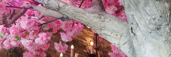 NikkiFe53 Profile Banner
