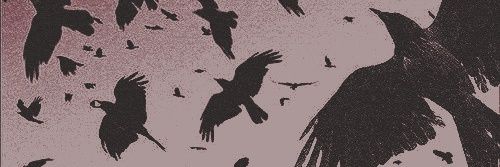𝓣he 𝐯amp𝑖re — MARÍA ! banner