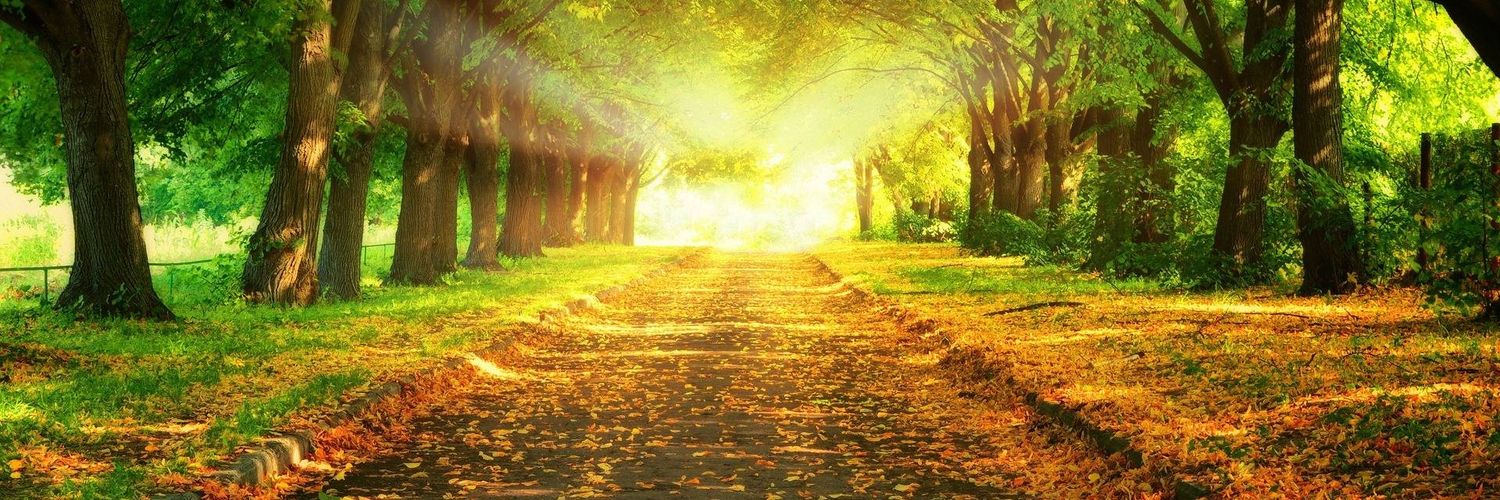 parks_wayne's profile banner image