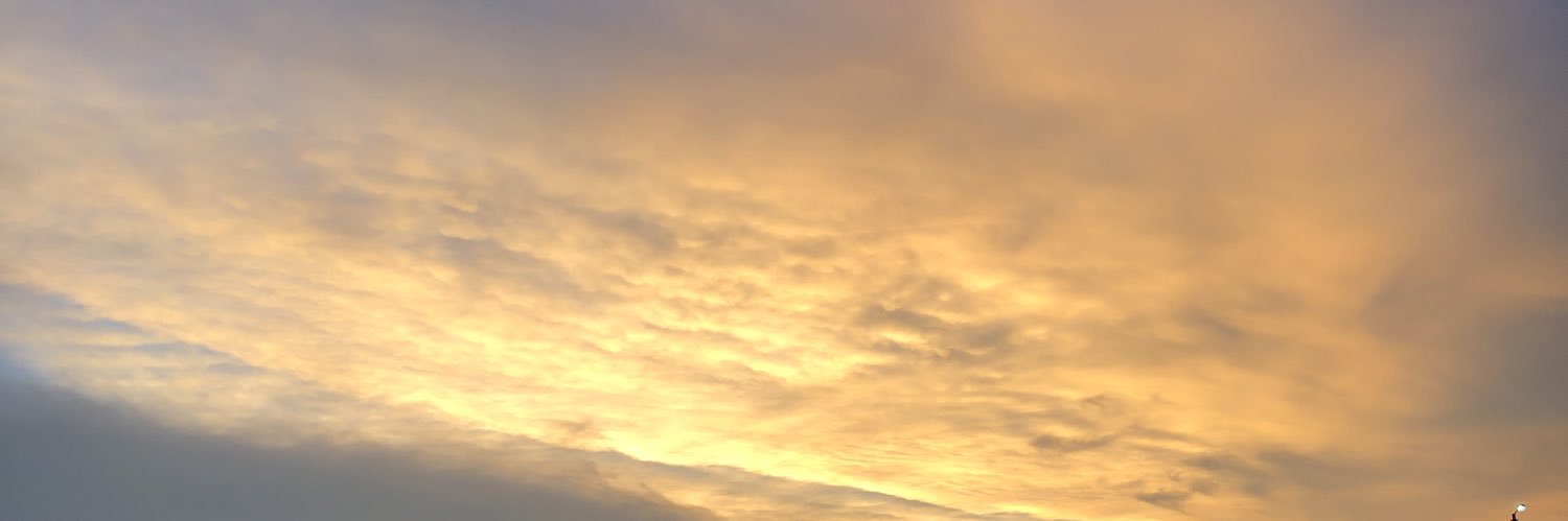 justmseebo's profile banner image