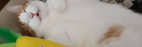retortacarp Profile Banner