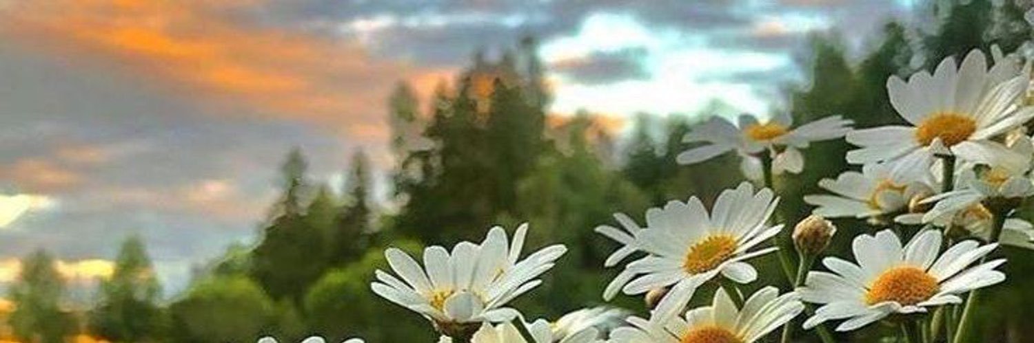 غير حياتك 🕊️ banner