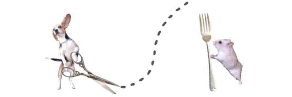 itoooona's profile banner image