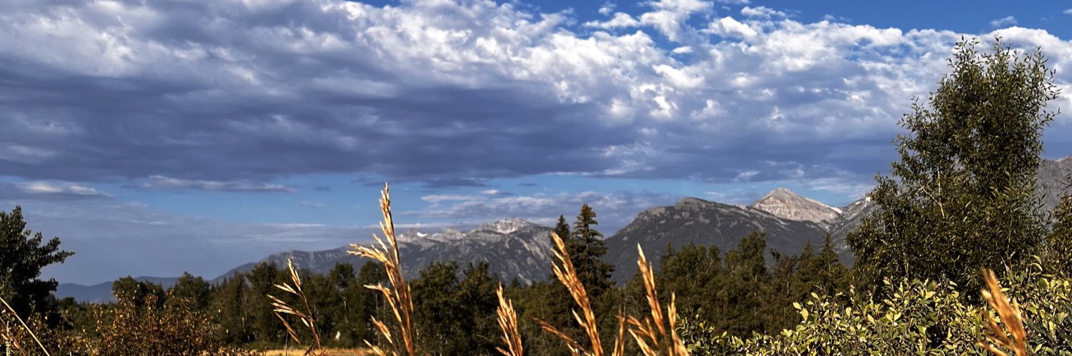 Jackson_Gibson7's profile banner image