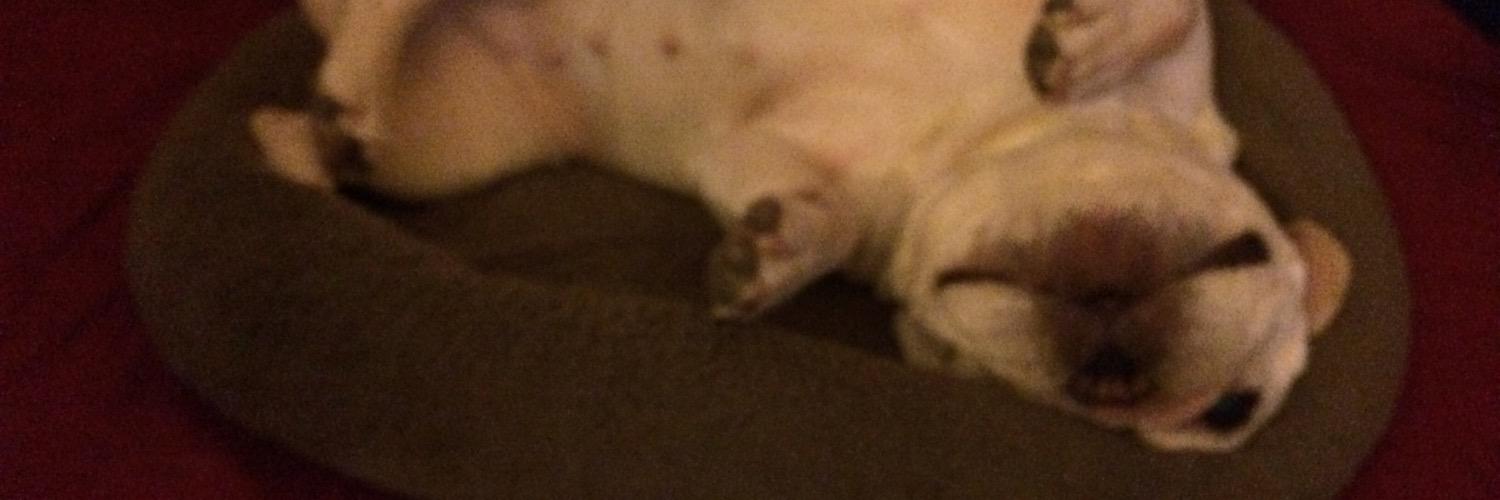 apathetic22's profile banner image