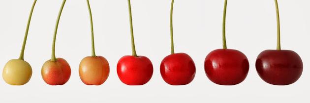 RedCherryMedia's profile banner image