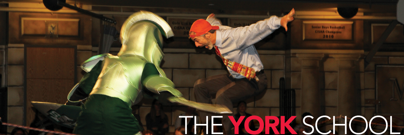 David Hamilton banner