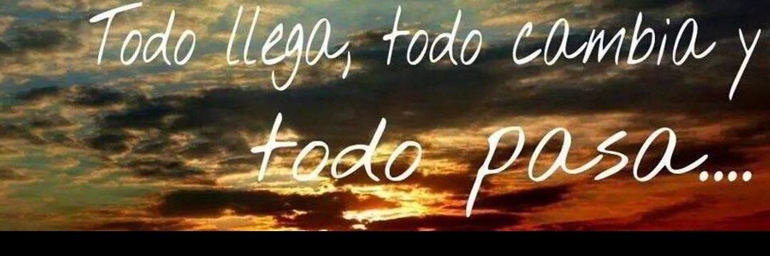 analia monroy banner