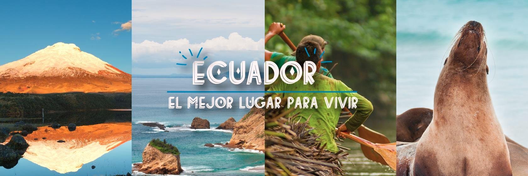 Cesar Paucarima banner
