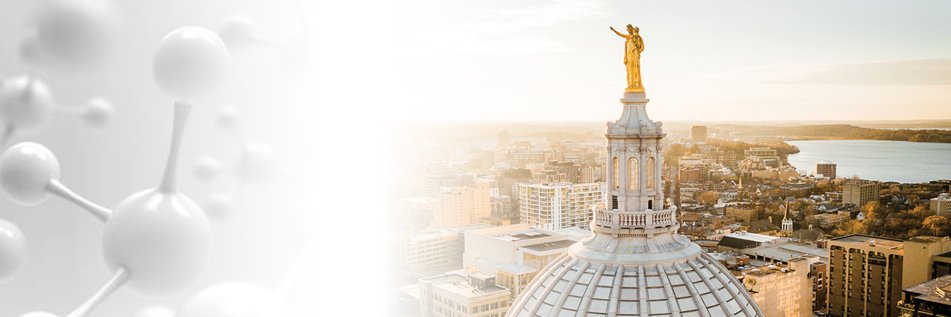 The_Golden_Lab's profile banner image
