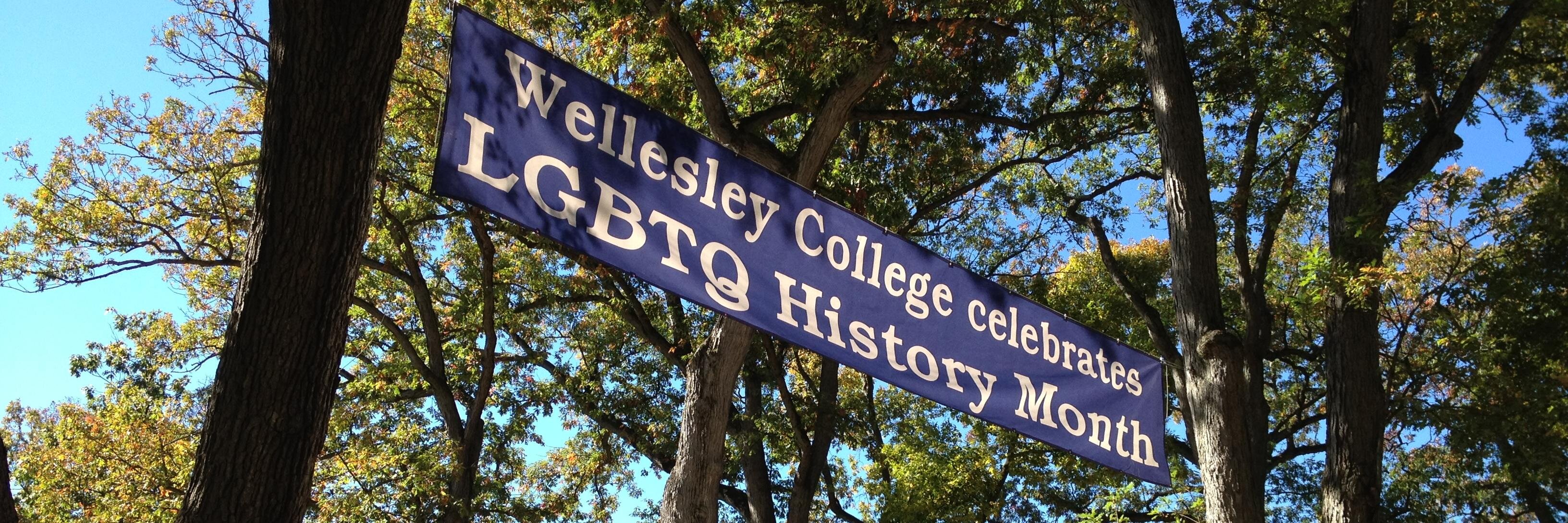WCLGBT's profile banner image