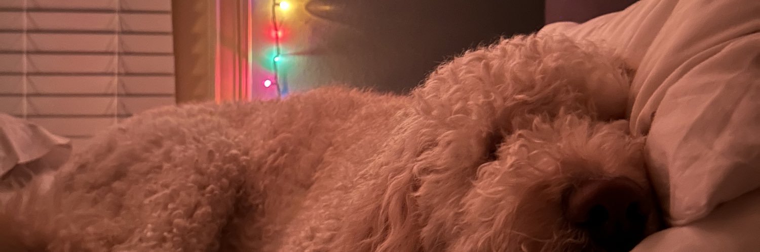 kkundyph14's profile banner image