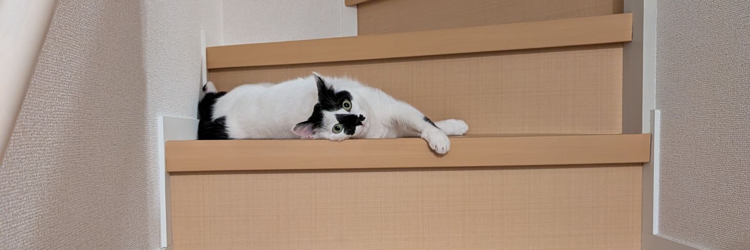 ヴォーヤマ banner