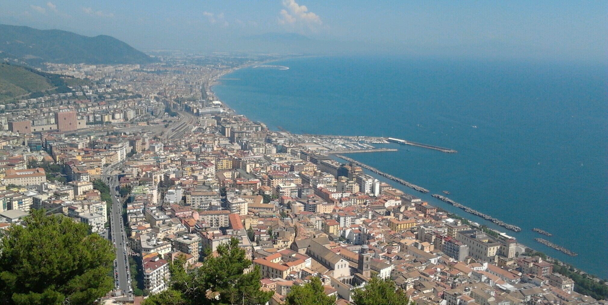 Fátima Moreno banner