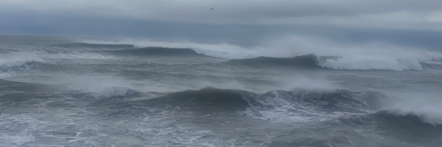 N839mh's profile banner image