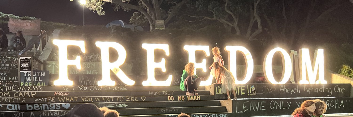 D.theBuilder - MINISTER OF “experts say”1984 TRUTH banner