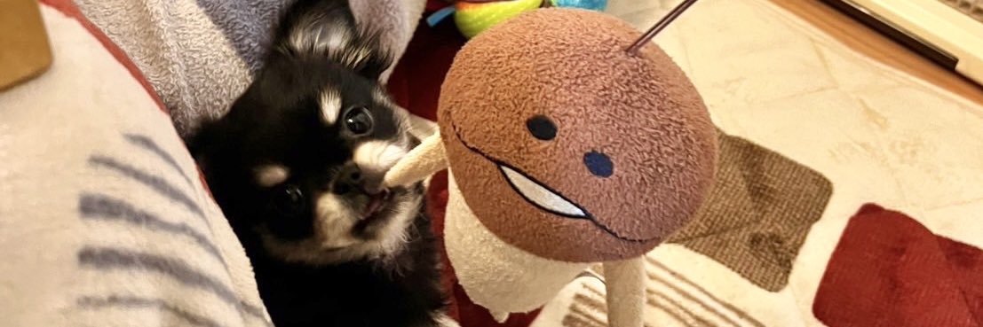 んふ(*´◇｀*)んふ banner