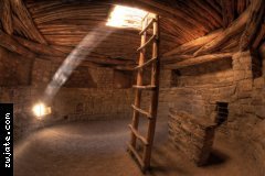 مخلوق عربي banner