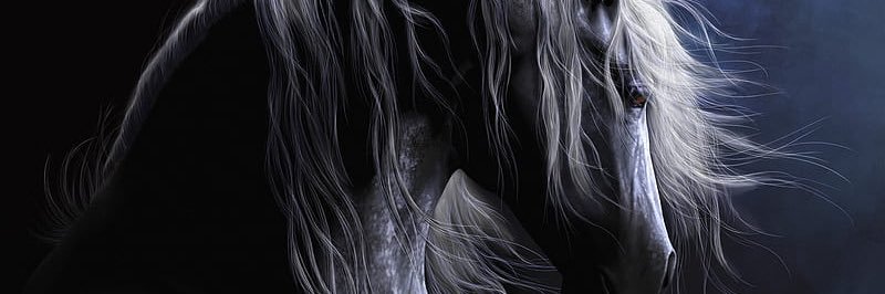 jahwarya's profile banner image