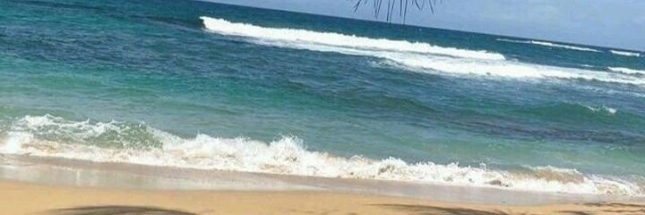 stevensambucini's profile banner image