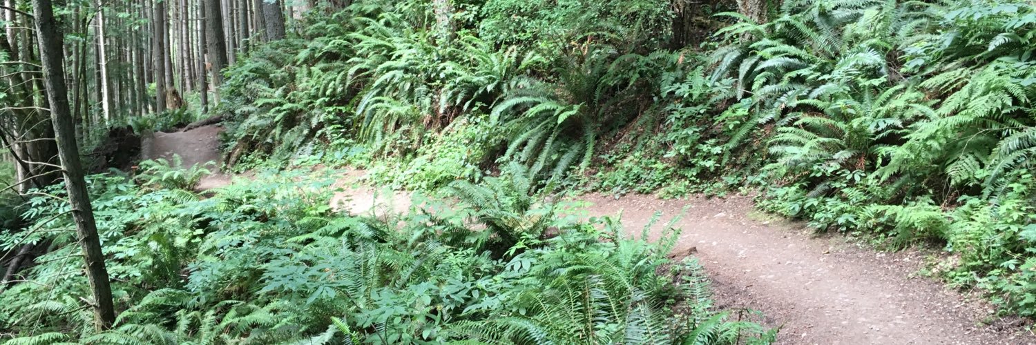 marcybikes's profile banner image