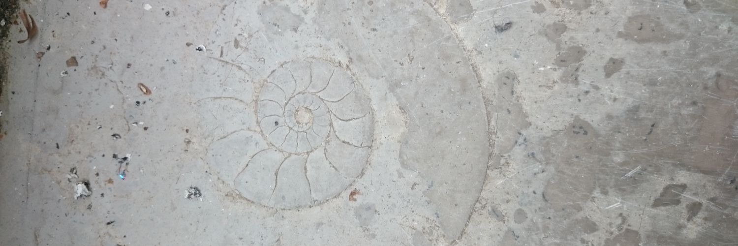 ZuzuPwet's profile banner image