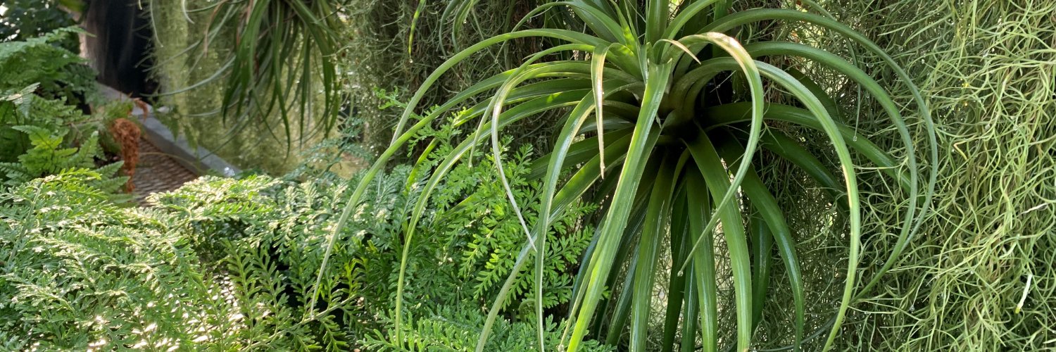 UTMBiology's profile banner image