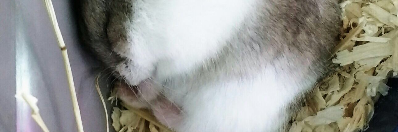 JoeWayHalen's profile banner image